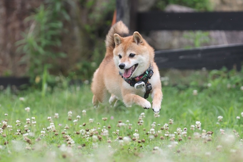 不妊治療を卒業したあとのこと