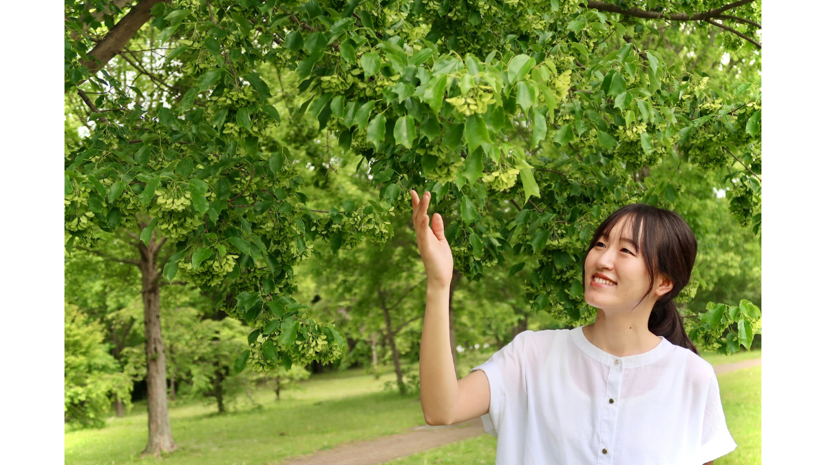 ayase(あやせ)