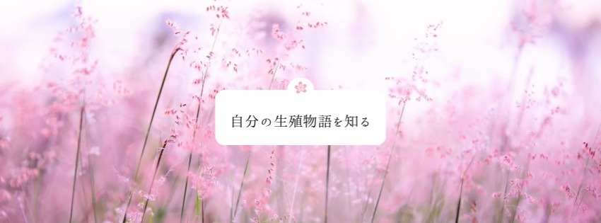自分の生殖物語を知る