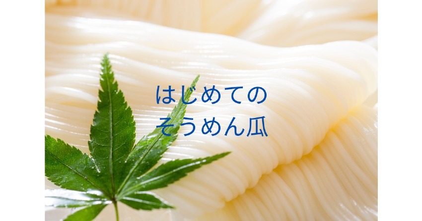 はじめてのそうめん瓜