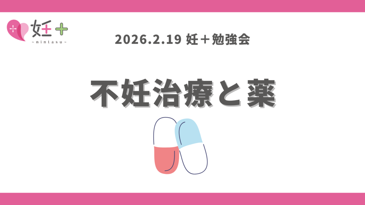 2026年2月19日、nintarist向け勉強会（第13回）を行いました！