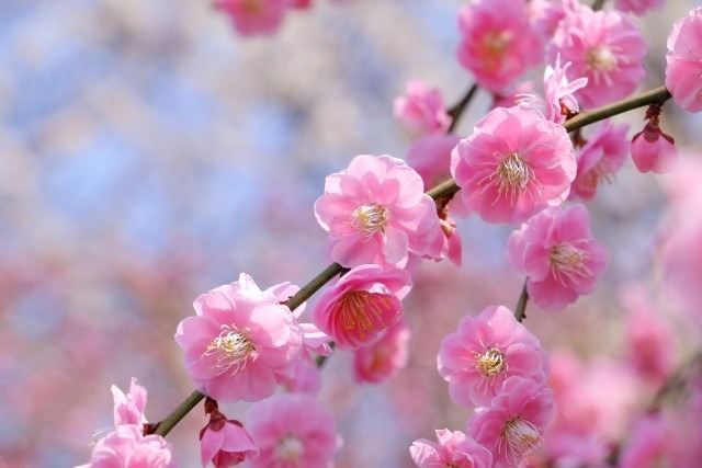 妊娠報告に「おめでとう」と言えなくて…